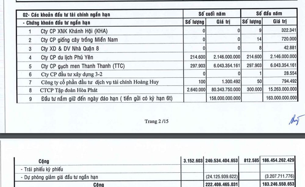 Đừng buồn vì “thua” chứng khoán, nhiều DN lấy tiền nhàn rỗi đầu tư cổ phiếu thậm chí đang lỗ cả trăm tỷ đồng - Ảnh 4.