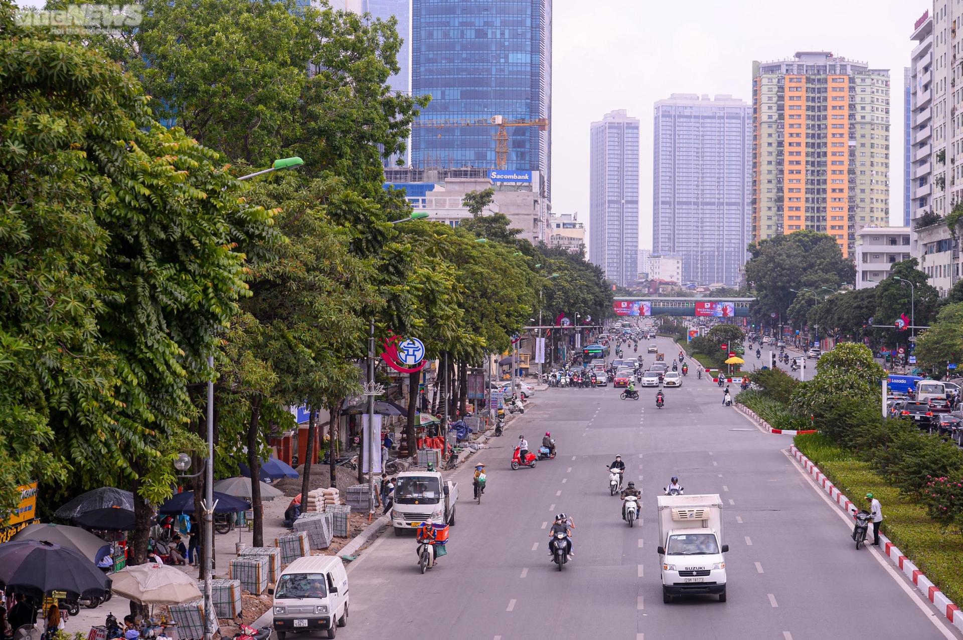 Cận cảnh hàng cây hoa sữa ở Hà Nội vừa được đề xuất di dời vì mùi hương quá nồng - Ảnh 12.