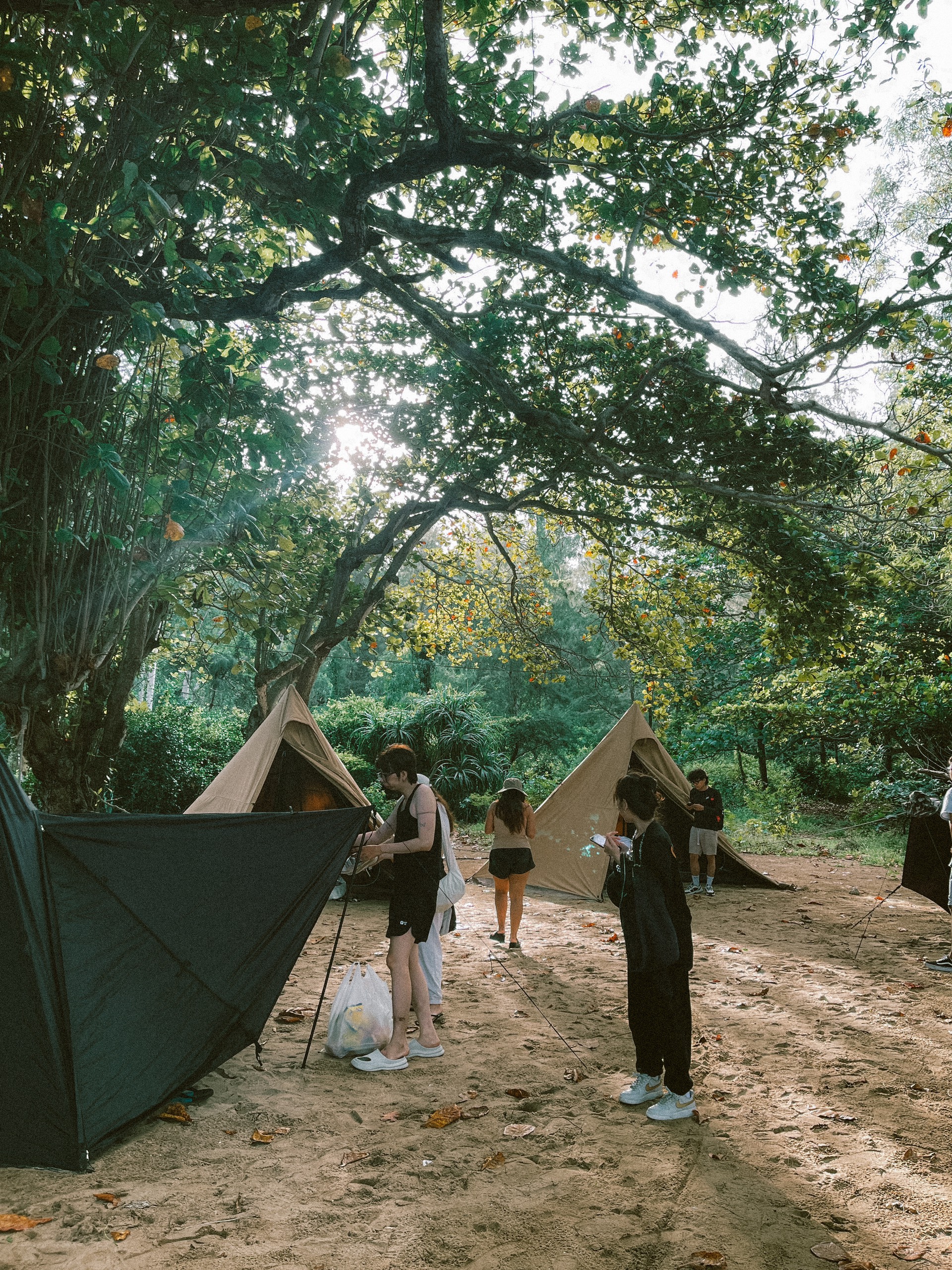 Địa điểm cắm trại mới nổi tại Phú Yên: Nơi có đồi cỏ săn bình minh đẹp hút hồn - Ảnh 9.