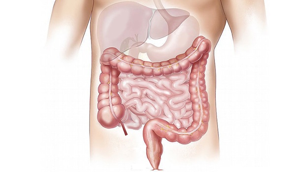 Tiết lộ 3 thức uống buổi sáng giúp thải sạch đường ruột, phòng bệnh hiệu quả - Ảnh 1. Tiết lộ 3 thức uống buổi sáng giúp thải sạch đường ruột, phòng bệnh hiệu quả - Ảnh 1.