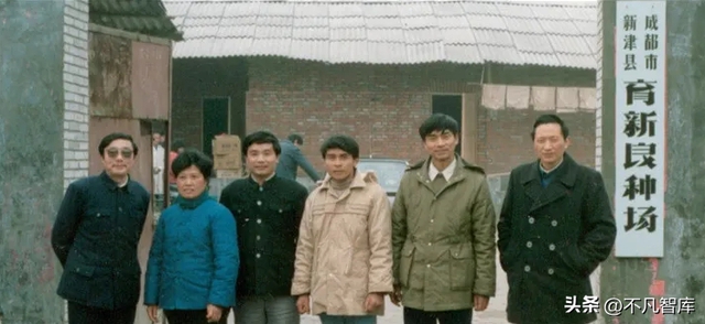 Bán hết gia tài để khởi nghiệp, 4 anh em mở trang trại nuôi gà và chim đẻ trứng vàng: Thiên thời, địa lợi, nhân hòa, phát triển thành tập đoàn 100 tỷ NDT - Ảnh 2. Bán hết gia tài để khởi nghiệp, 4 anh em mở trang trại nuôi gà và chim đẻ trứng vàng: Thiên thời, địa lợi, nhân hòa, phát triển thành tập đoàn 100 tỷ NDT - Ảnh 2.