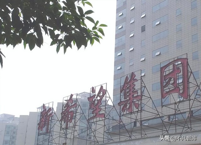 Bán hết gia tài để khởi nghiệp, 4 anh em mở trang trại nuôi gà và chim đẻ trứng vàng: Thiên thời, địa lợi, nhân hòa, phát triển thành tập đoàn 100 tỷ NDT - Ảnh 1. Bán hết gia tài để khởi nghiệp, 4 anh em mở trang trại nuôi gà và chim đẻ trứng vàng: Thiên thời, địa lợi, nhân hòa, phát triển thành tập đoàn 100 tỷ NDT - Ảnh 1.