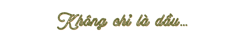 Dầu ô liu - Món quà cất giữ sự huyền bí của ẩm thực qua nhiều thế kỷ - Ảnh 13. Dầu ô liu - Món quà cất giữ sự huyền bí của ẩm thực qua nhiều thế kỷ - Ảnh 13.