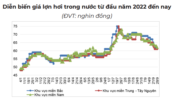 Quả chuối, con heo có thực sự đang giúp bầu Đức cứu HAGL thoát lỗ? - Ảnh 4.