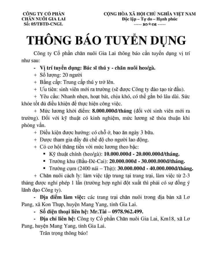 Bầu Đức "chiêu mộ" bác sĩ thú y chăm đàn gà – heo, trả lương hậu hĩnh đến 40 triệu/tháng