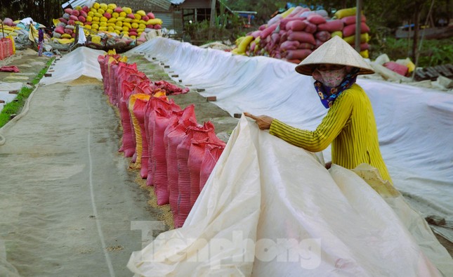 Giá gạo Việt Nam tăng vượt Thái Lan, gạo 100% tấm 'cháy' hàng - Ảnh 1.