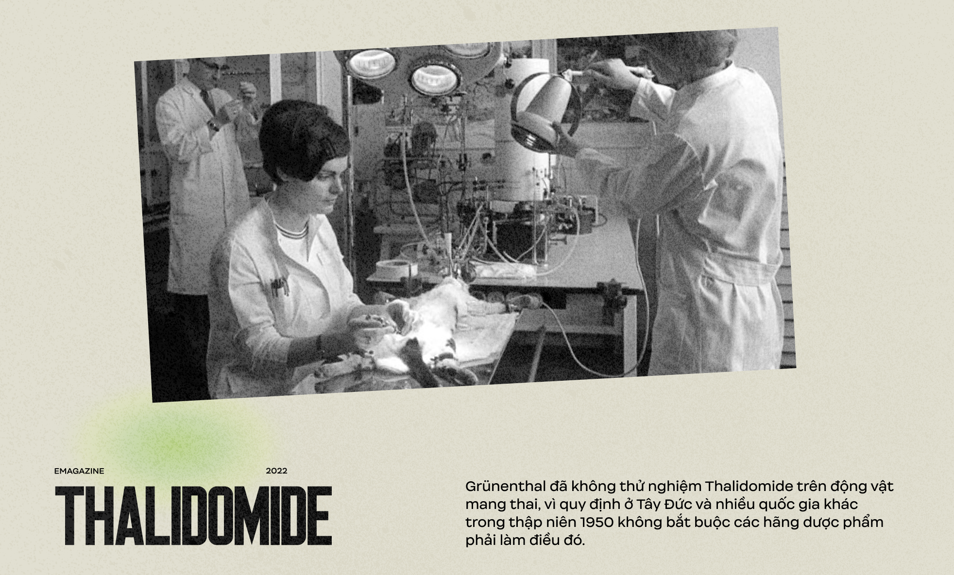 Hồ sơ Thalidomide: Thảm kịch y tế lớn nhất trong lịch sử nhân loại - Ảnh 23.