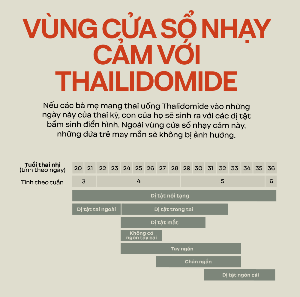 Hồ sơ Thalidomide: Thảm kịch y tế lớn nhất trong lịch sử nhân loại - Ảnh 29.