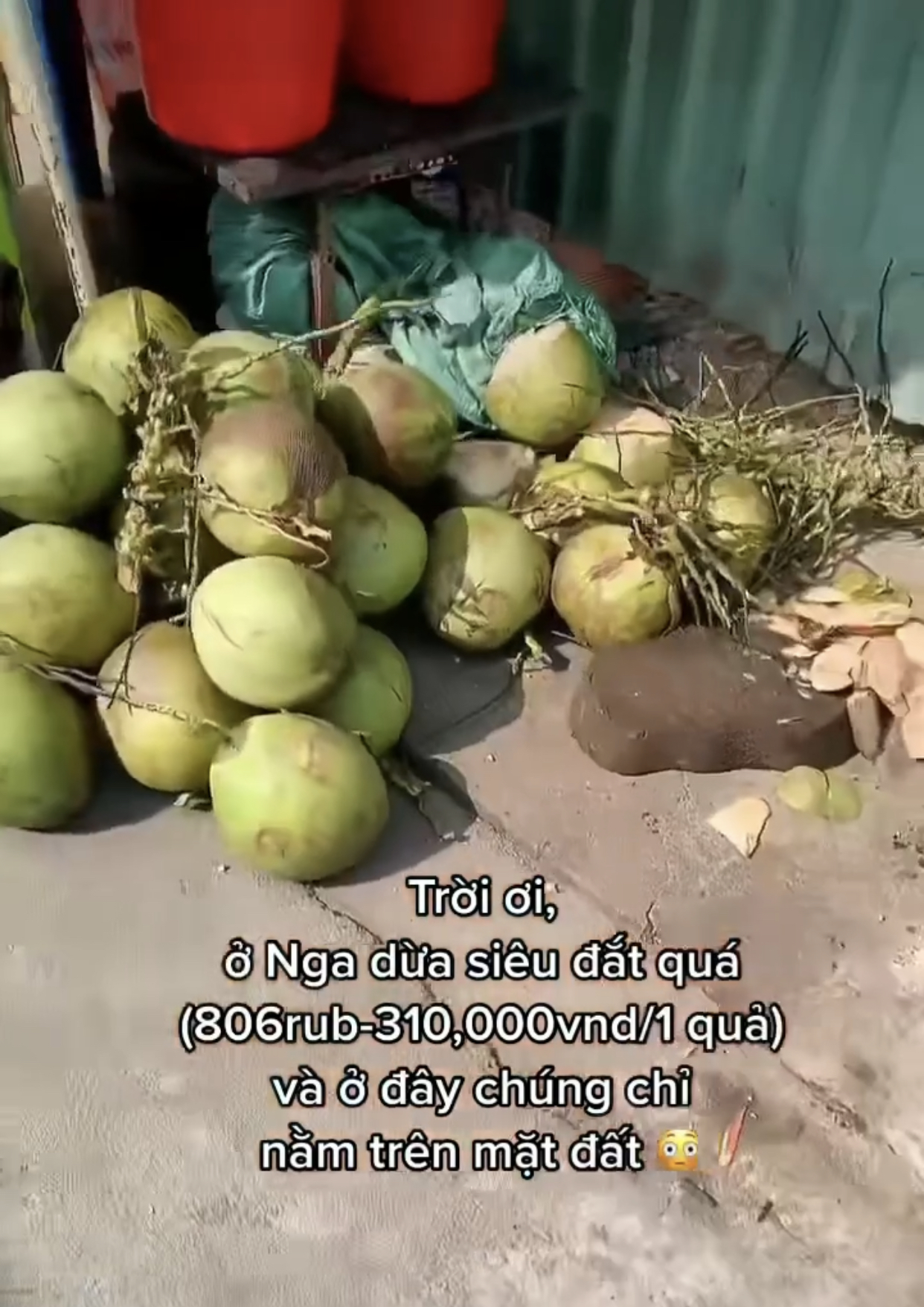 Những điều bình thường ở Việt Nam nhưng lại khiến du khách nước ngoài ngạc nhiên trong lần đầu trải nghiệm - Ảnh 7. Những điều bình thường ở Việt Nam nhưng lại khiến du khách nước ngoài ngạc nhiên trong lần đầu trải nghiệm - Ảnh 7.