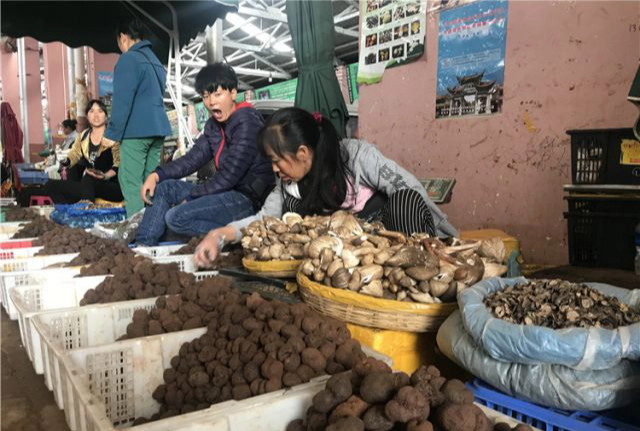 Một ngày ở chợ nấm Côn Minh (Trung Quốc) - nơi bán 'thức quà của đất' đắt đỏ bậc nhất thế giới - Ảnh 1.
