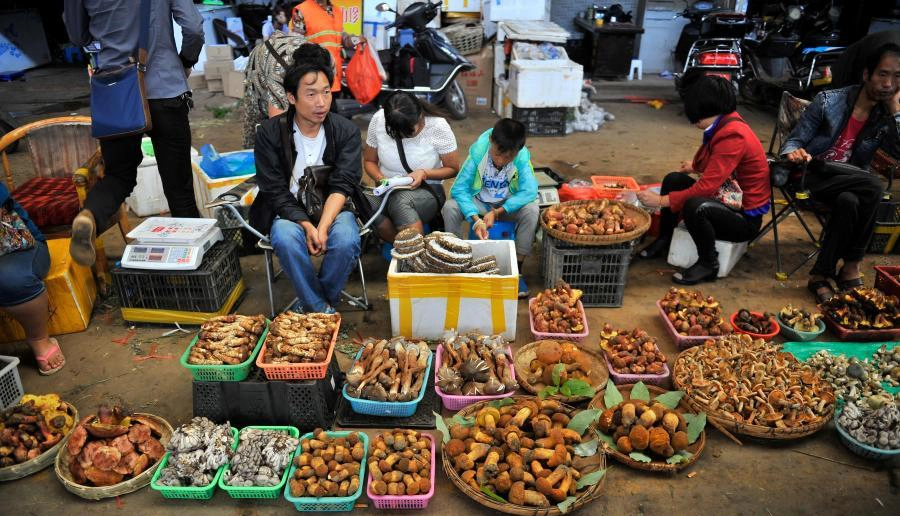 Một ngày ở chợ nấm Côn Minh (Trung Quốc) - nơi bán 'thức quà của đất' đắt đỏ bậc nhất thế giới - Ảnh 7.