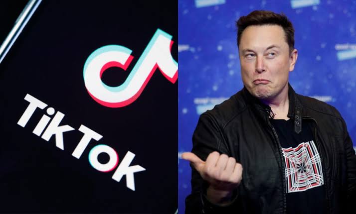 Elon Musk sẽ dùng Twitter để đại chiến... Tiktok? - Ảnh 2. Elon Musk sẽ dùng Twitter để đại chiến... Tiktok? - Ảnh 2.
