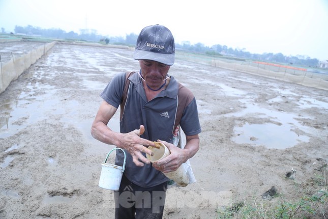 Độc chiêu săn cáy bằng cốc nhựa và ruốc hôi ảnh 3