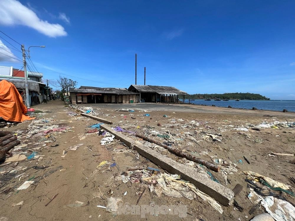 Bờ biển Quảng Ngãi ngập rác thải gây ô nhiễm ảnh 16