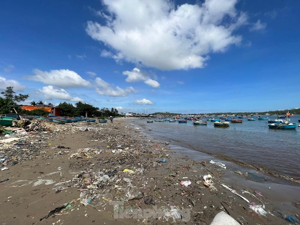 Bờ biển Quảng Ngãi ngập rác thải gây ô nhiễm ảnh 7