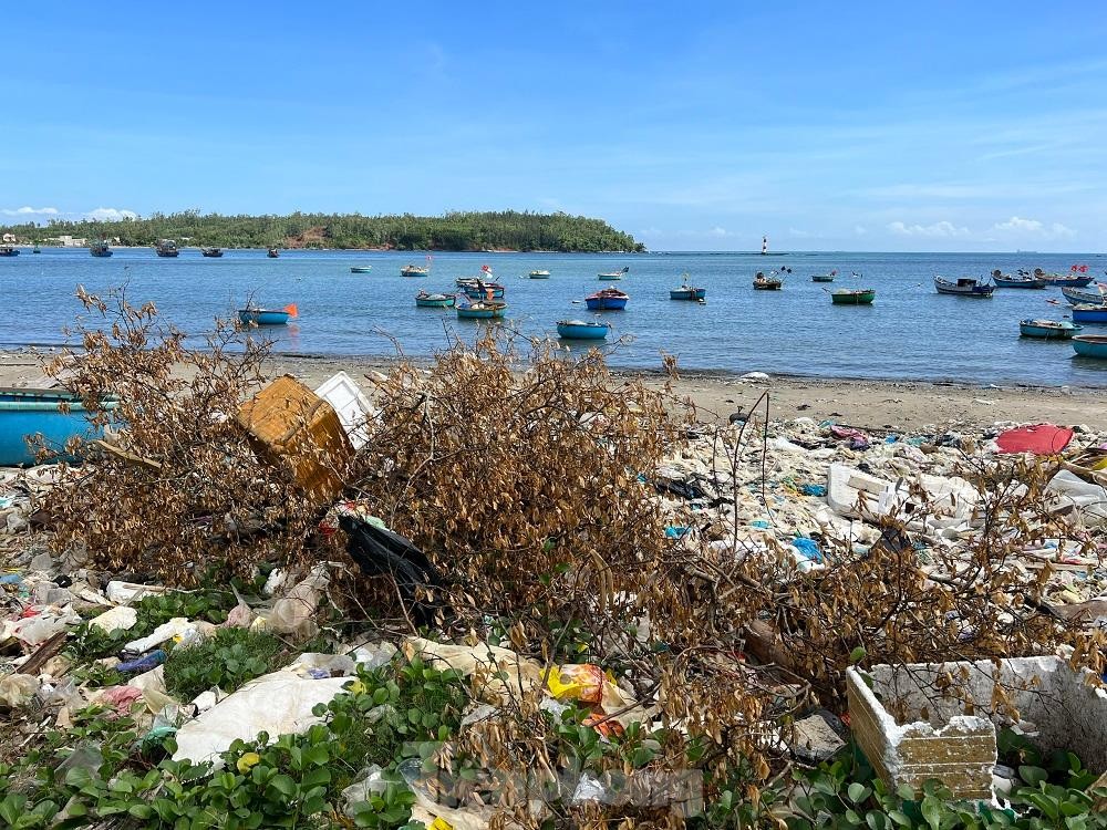 Bờ biển Quảng Ngãi ngập rác thải gây ô nhiễm ảnh 8