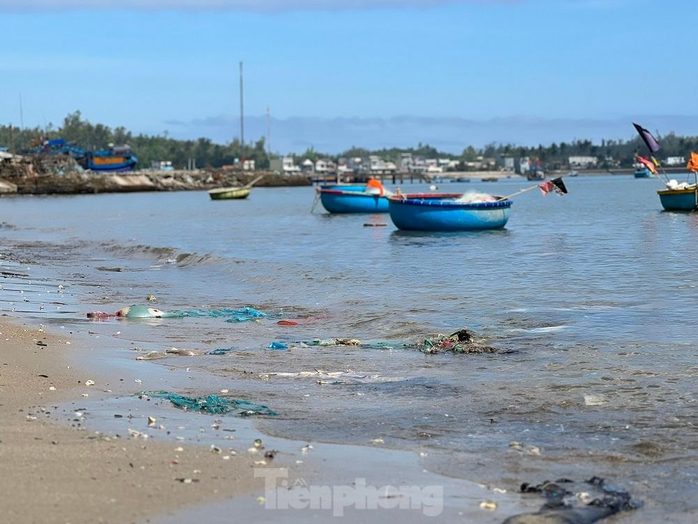 Bờ biển Quảng Ngãi ngập rác thải gây ô nhiễm ảnh 3