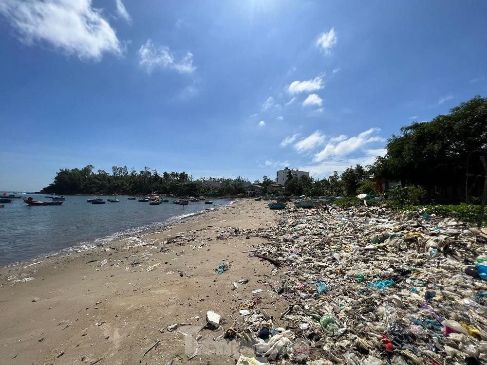 Bờ biển Quảng Ngãi ngập rác thải gây ô nhiễm ảnh 2