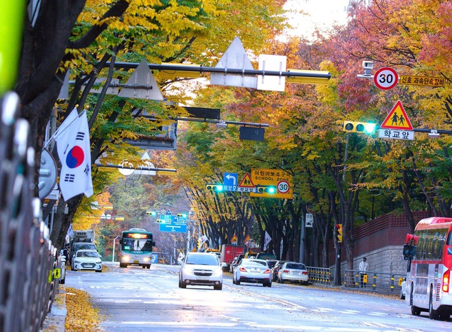 Choáng ngợp khung cảnh mùa thu Hàn Quốc, lá vàng lá đỏ rực sắc đẹp như phim - Ảnh 15.
