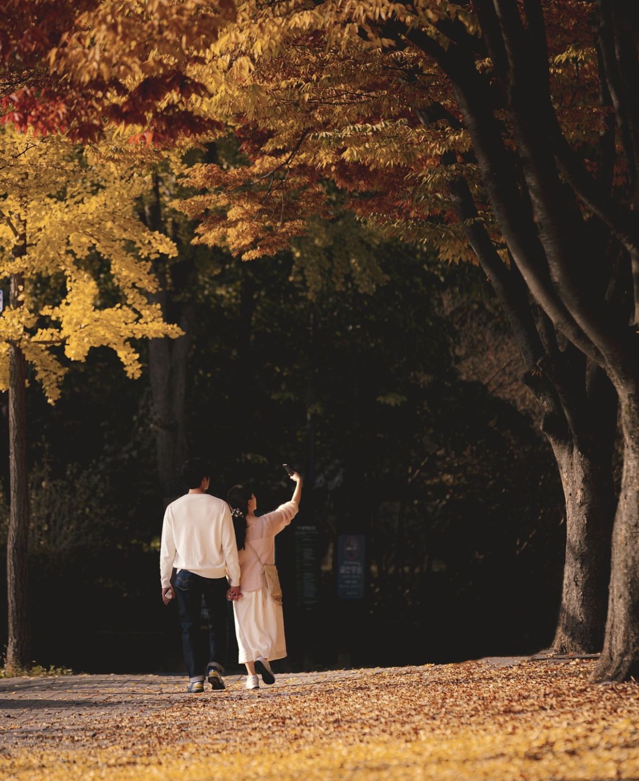 Choáng ngợp khung cảnh mùa thu Hàn Quốc, lá vàng lá đỏ rực sắc đẹp như phim - Ảnh 9.