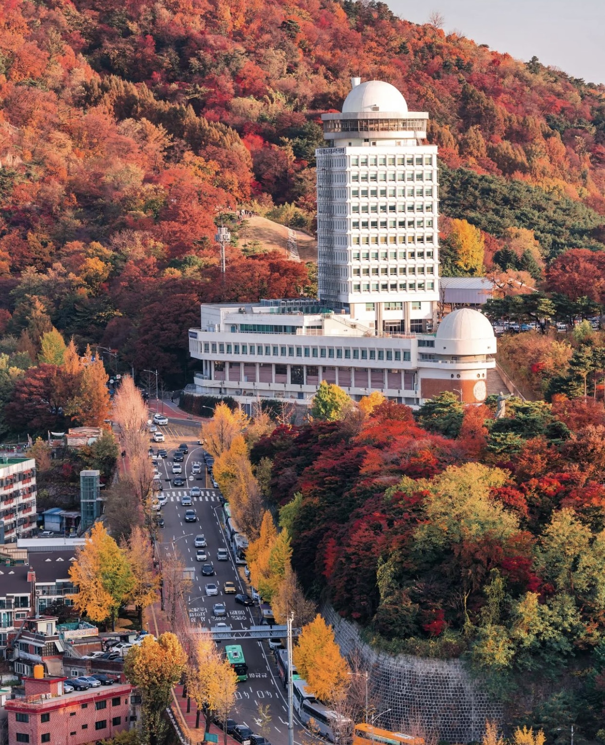 Choáng ngợp khung cảnh mùa thu Hàn Quốc, lá vàng lá đỏ rực sắc đẹp như phim - Ảnh 6.