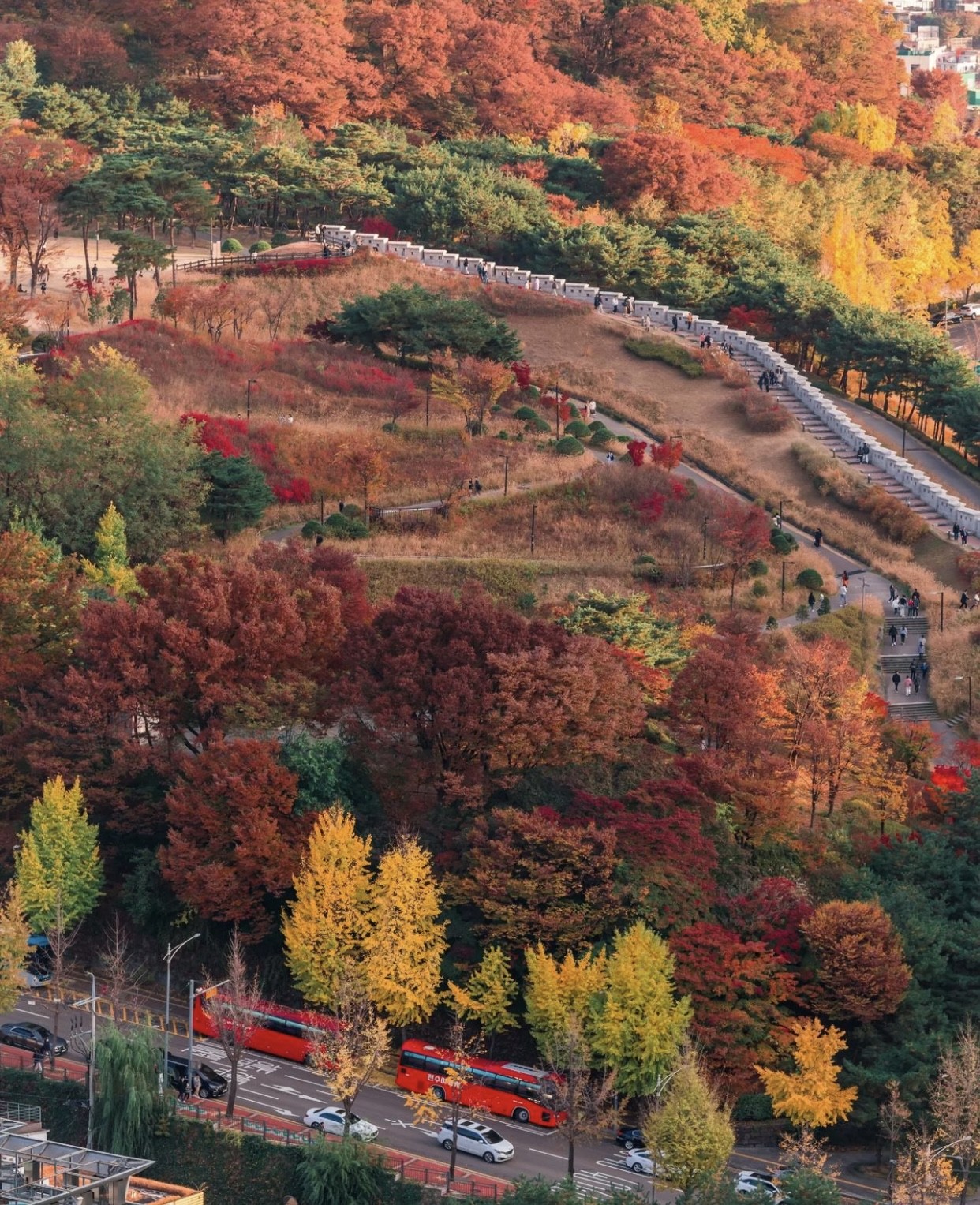 Choáng ngợp khung cảnh mùa thu Hàn Quốc, lá vàng lá đỏ rực sắc đẹp như phim - Ảnh 5.