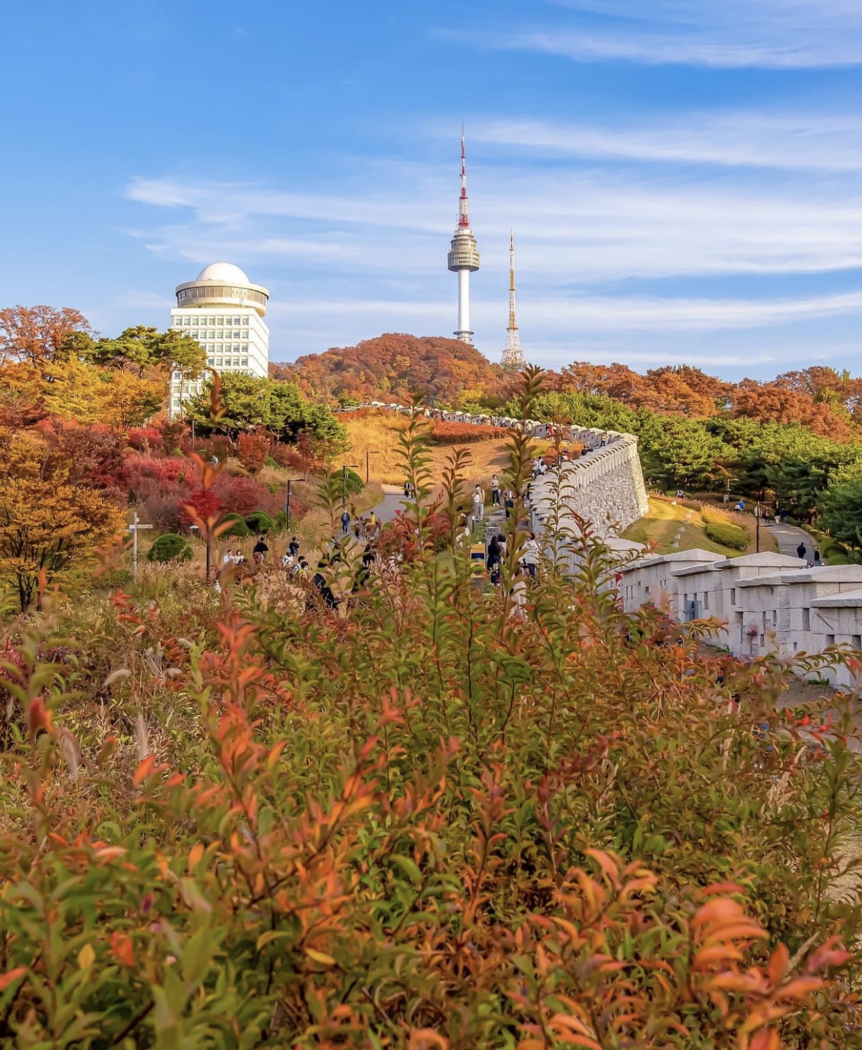 Choáng ngợp khung cảnh mùa thu Hàn Quốc, lá vàng lá đỏ rực sắc đẹp như phim - Ảnh 1.