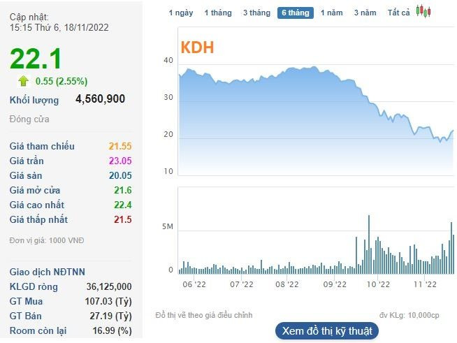 Dragon Capital gom thêm hàng triệu cổ phiếu KDH và HDG trước nhịp hồi mạnh - Ảnh 1.