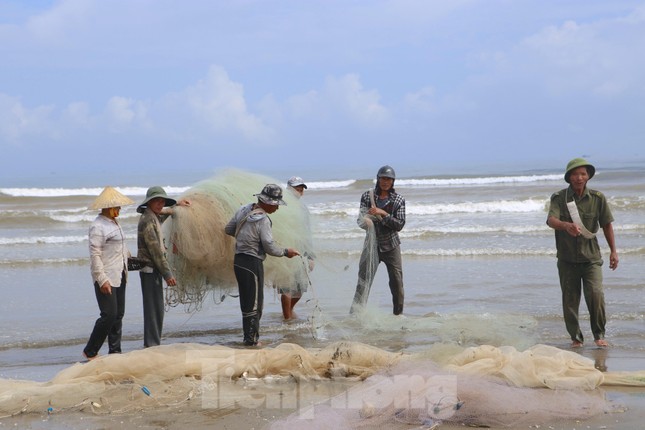 Quăng mẻ lưới 'trúng đậm' hàng tấn cá, ngư dân thu trên chục triệu đồng ảnh 4