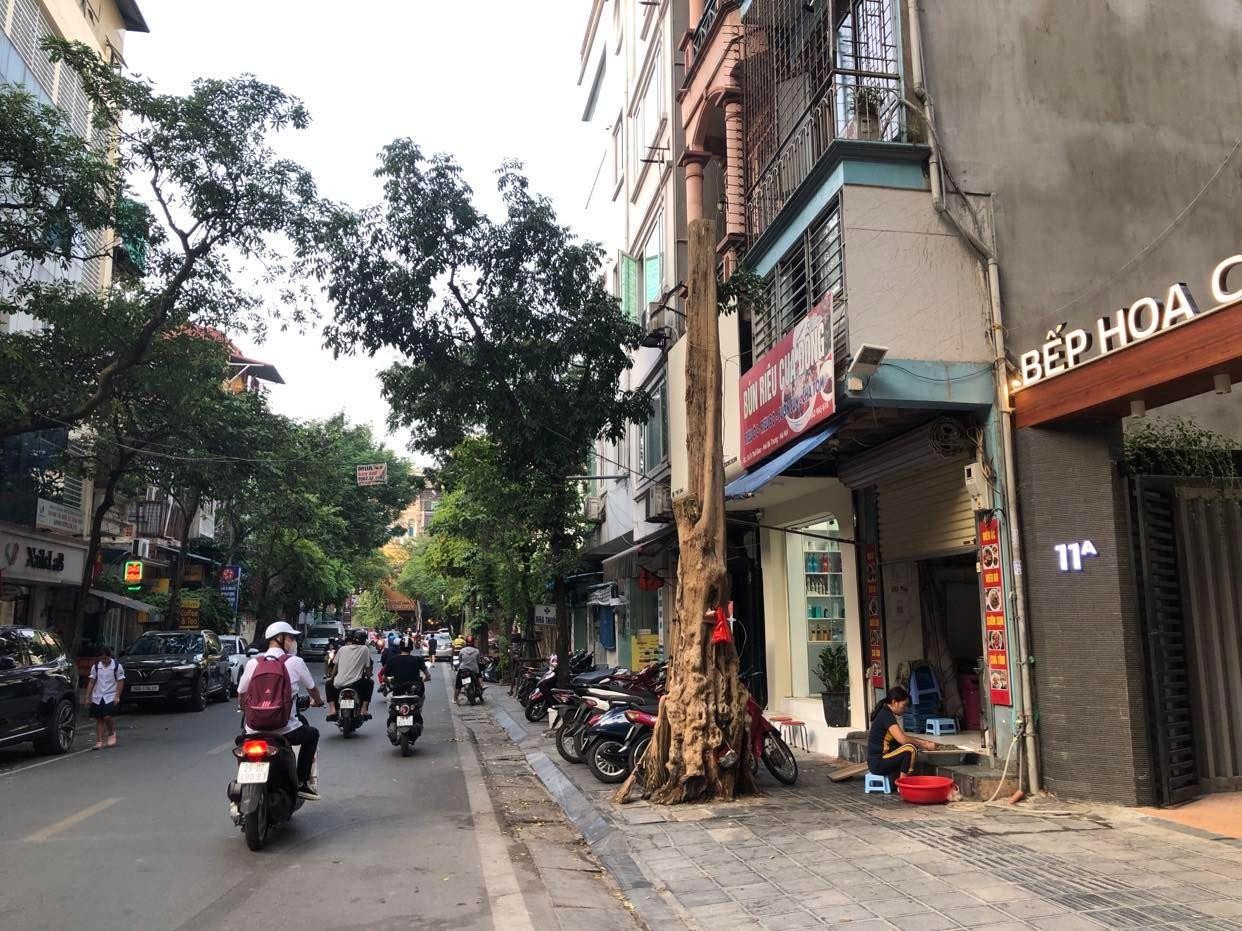 Loạt cây xanh chết trên đường phố Hà Nội nghi do đầu độc ảnh 2