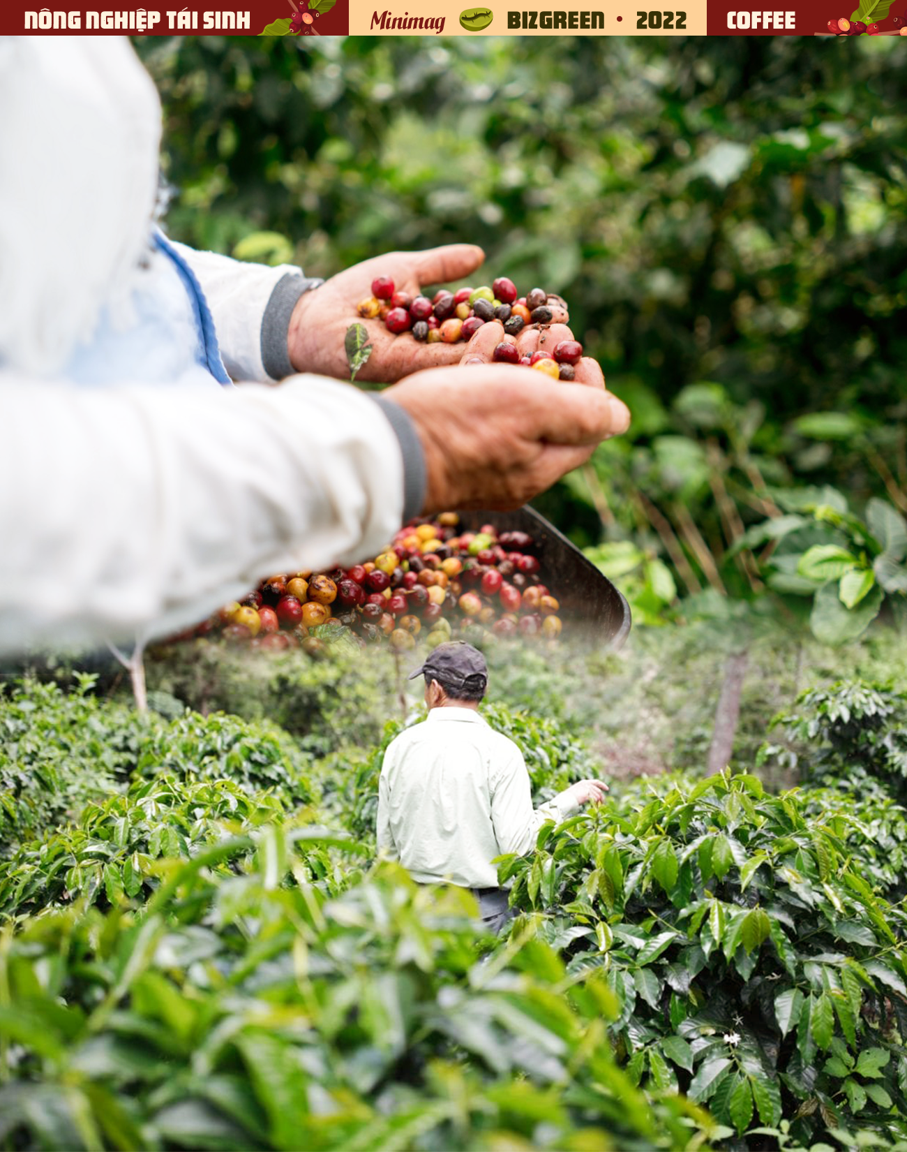 Với khung hình thiên nhiên tuyệt đẹp của đất nước, người đàn ông trồng cà phê Việt Nam sẽ đưa bạn đến với những vùng đất đầy phong cảnh thiên nhiên hùng vỹ. Khi thưởng thức những hạt cà phê thơm ngon và đậm đà, bạn sẽ cảm nhận được tình yêu và đam mê dành cho nghề trồng cà phê Việt Nam.