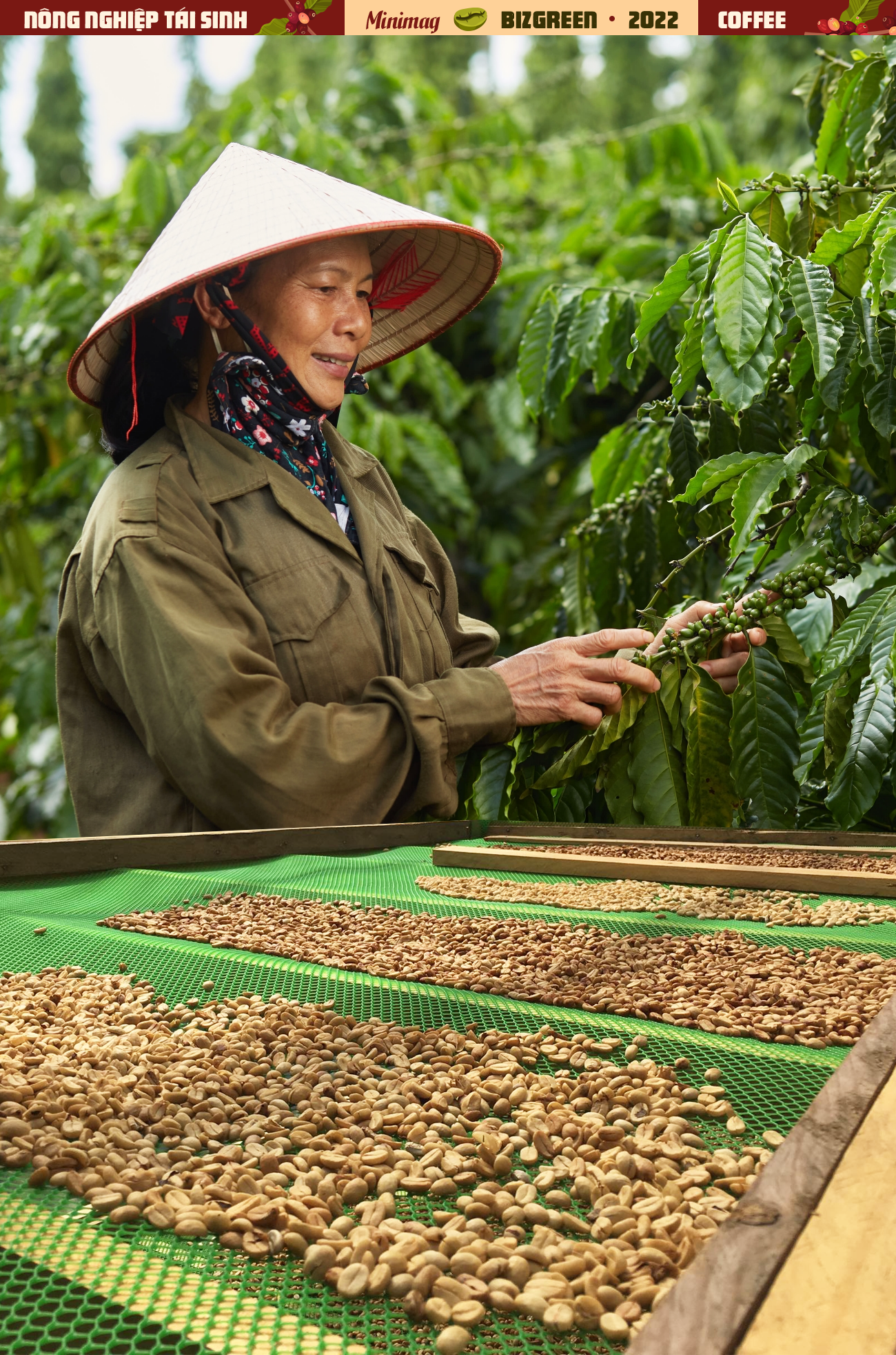 Bạn có biết trồng cà phê là trải nghiệm thú vị và bổ ích về thành tựu đời sống cũng như kinh tế? Hãy xem hình ảnh liên quan để tìm hiểu cách trồng, chăm sóc cây cà phê và khám phá giá trị của loại cây này.