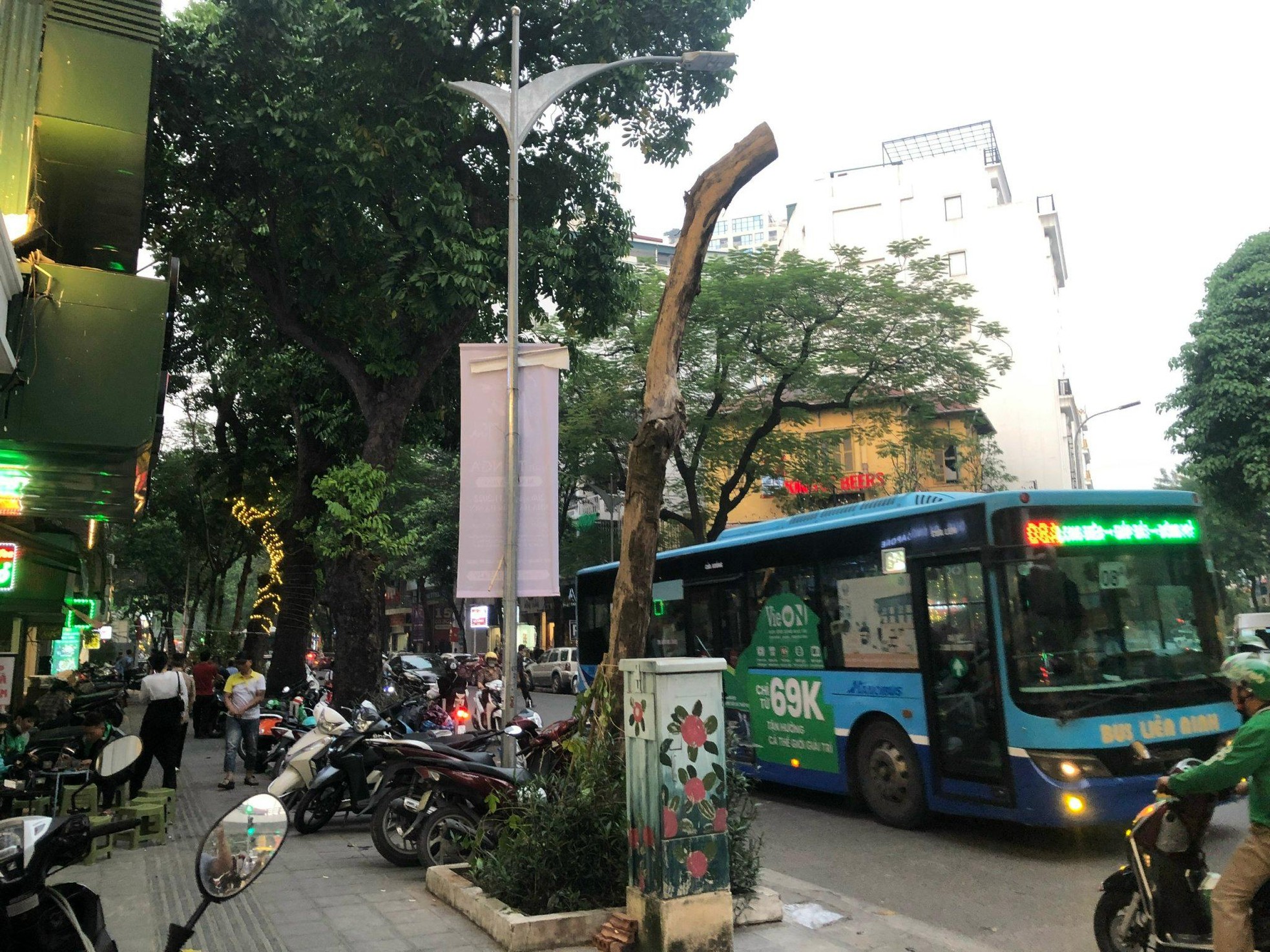 Loạt cây xanh chết trên đường phố Hà Nội nghi do đầu độc ảnh 10