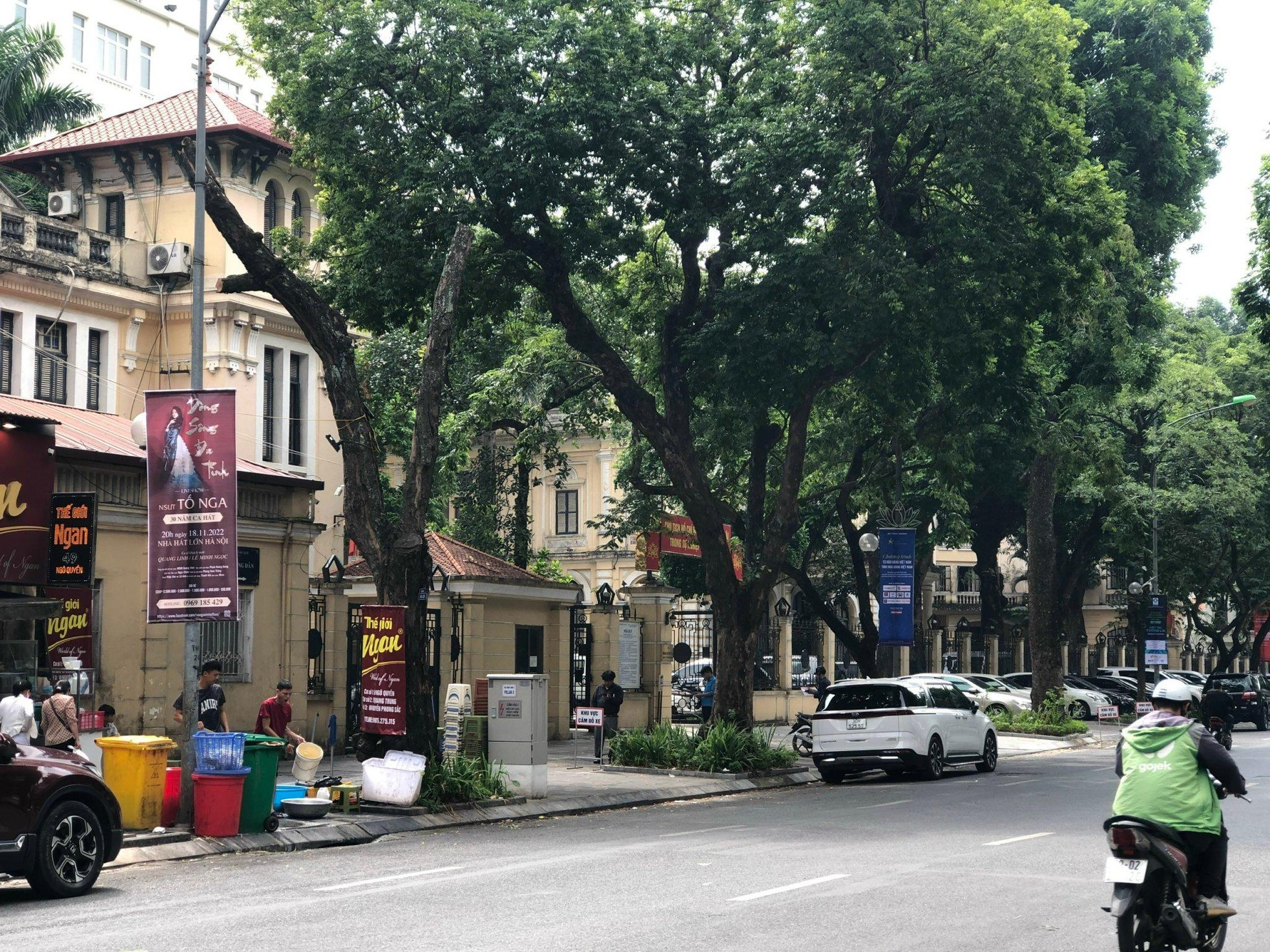 Loạt cây xanh chết trên đường phố Hà Nội nghi do đầu độc ảnh 9