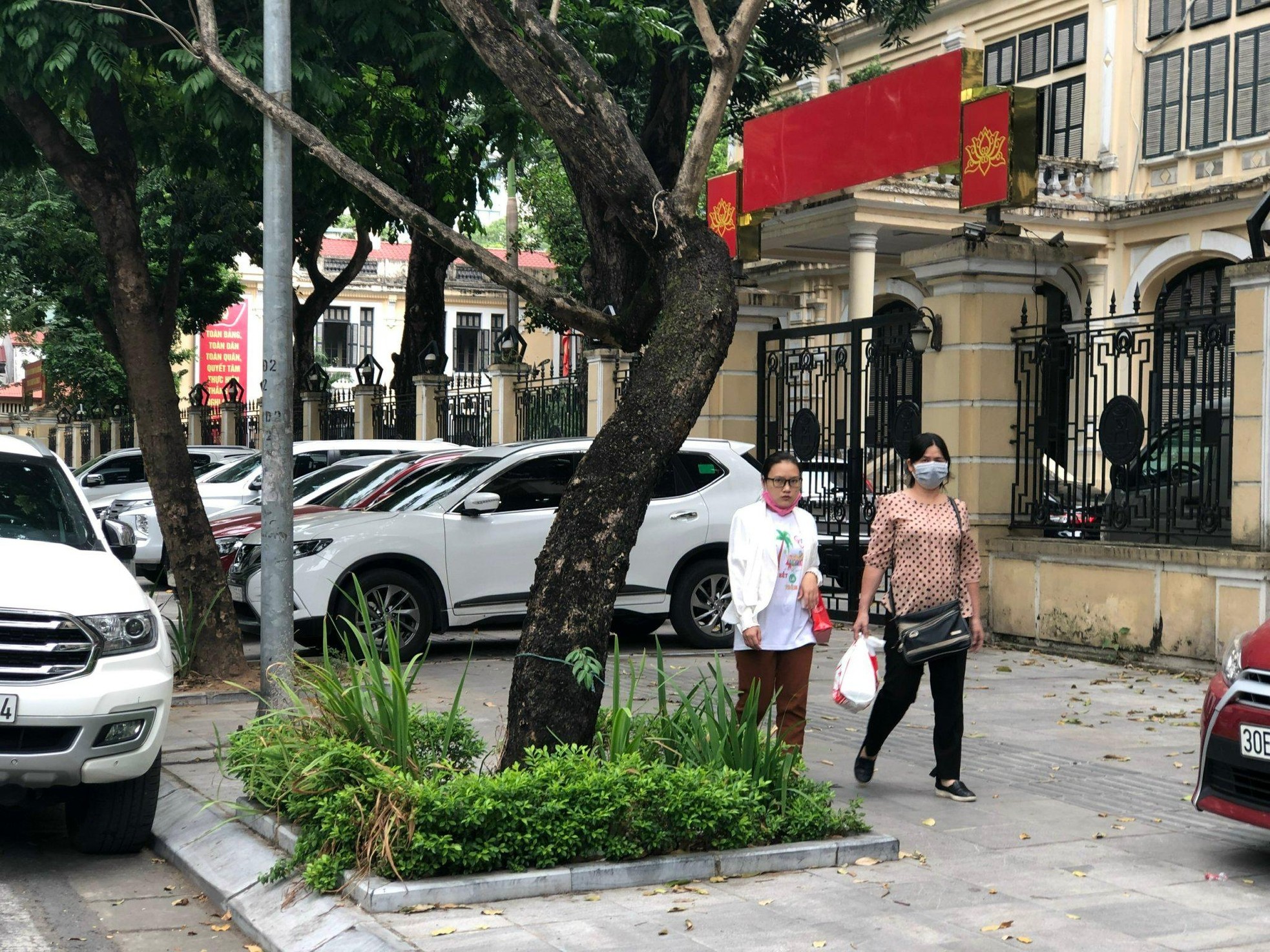 Loạt cây xanh chết trên đường phố Hà Nội nghi do đầu độc ảnh 1