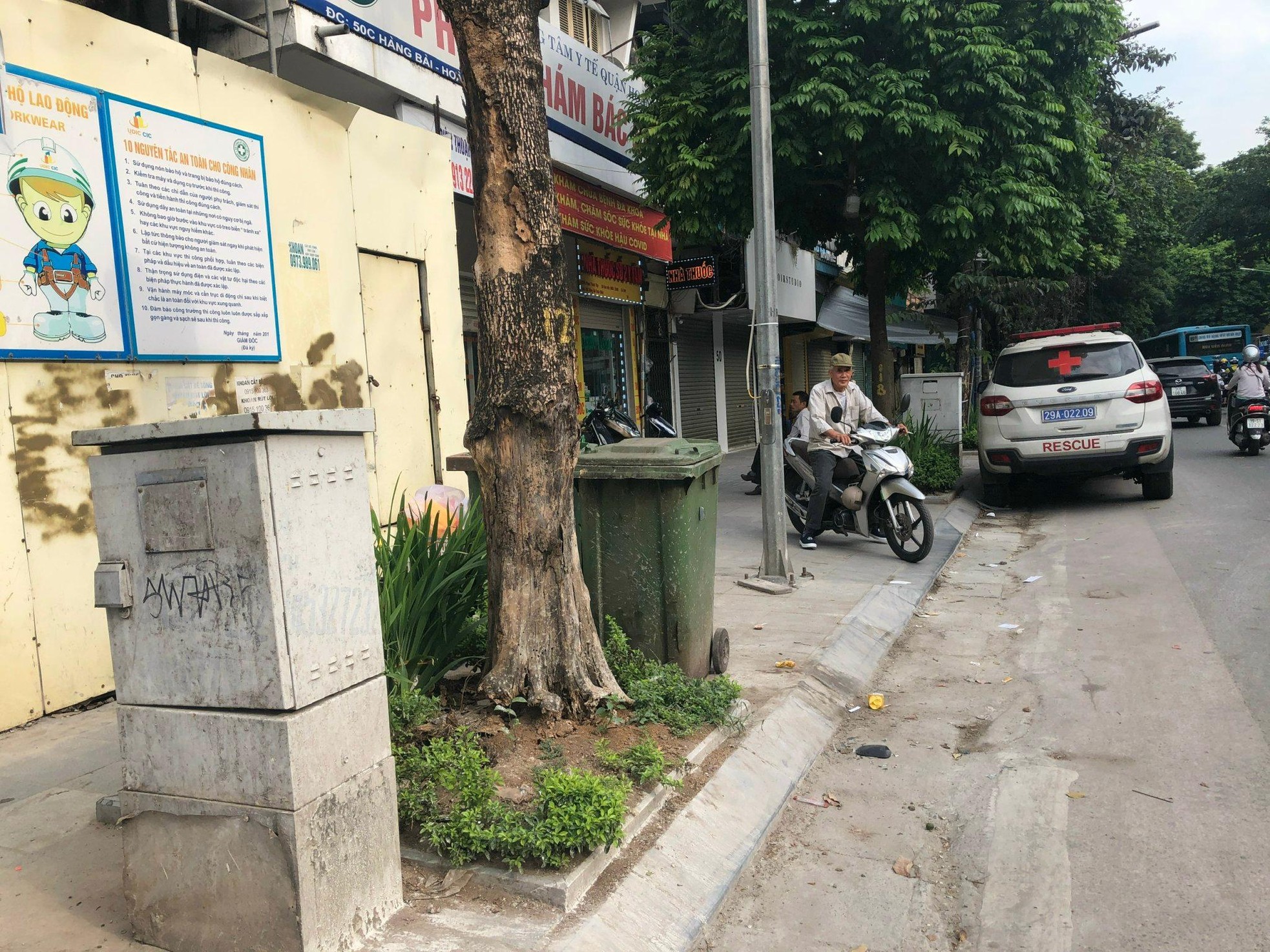 Loạt cây xanh chết trên đường phố Hà Nội nghi do đầu độc ảnh 6