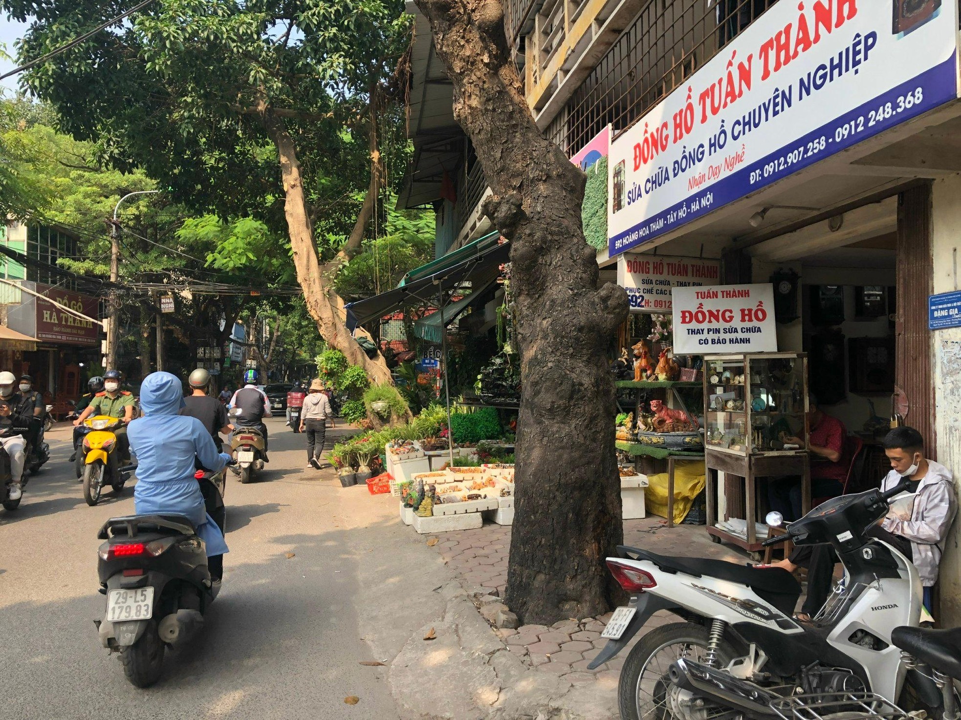 Loạt cây xanh chết trên đường phố Hà Nội nghi do đầu độc ảnh 8