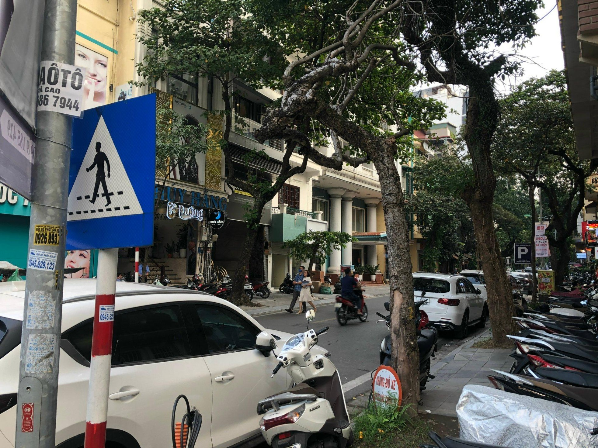 Loạt cây xanh chết trên đường phố Hà Nội nghi do đầu độc ảnh 5
