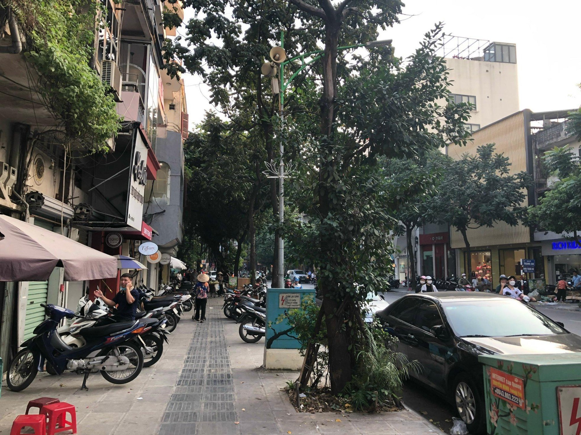 Loạt cây xanh chết trên đường phố Hà Nội nghi do đầu độc ảnh 4