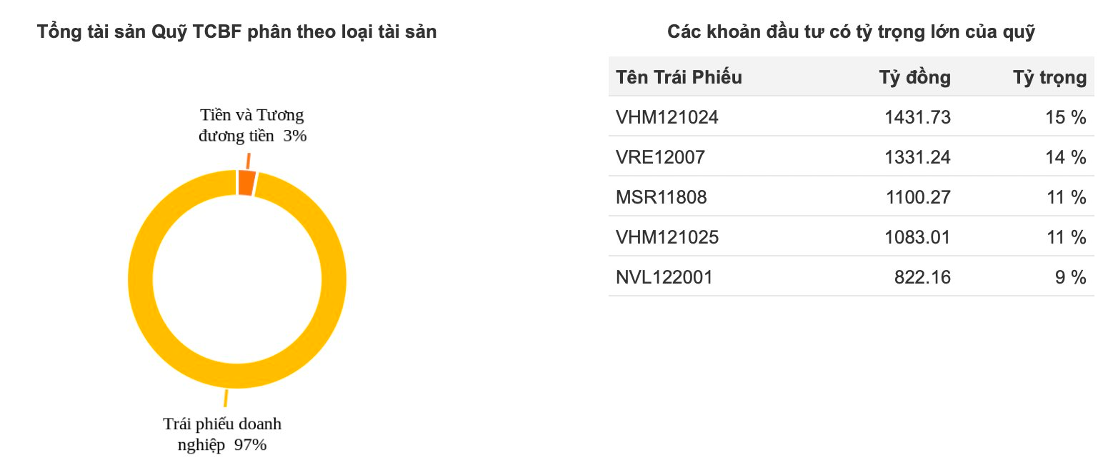 ขนาดของสินทรัพย์ลดลงหลายพันล้านด่ง Techcombank Bond Fund (TCBF) ถืออะไรอยู่?  - ภาพที่ 2