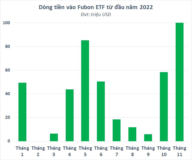 VN30 giảm sâu, hàng nghìn tỷ đồng vốn ngoại ồ ạt bắt đáy qua các quỹ ETF - Ảnh 4.