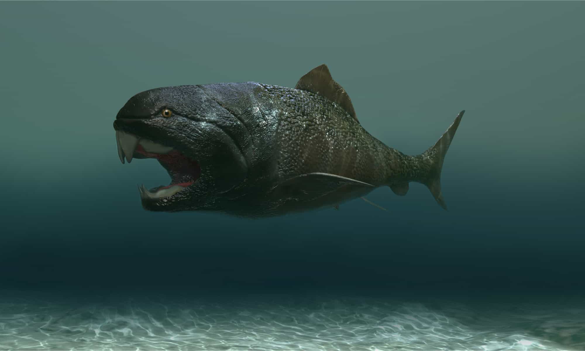 Phát hiện loài cá có thể cắn đứt đôi cơ thể của cá mập trắng lớn - Ảnh 2.