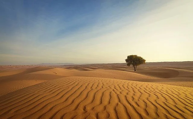 Có gì ở sa mạc 'đắt' nhất Trung Quốc mà muốn đổi 1kg gạo lấy 1kg cát cũng không được? - Ảnh 1.