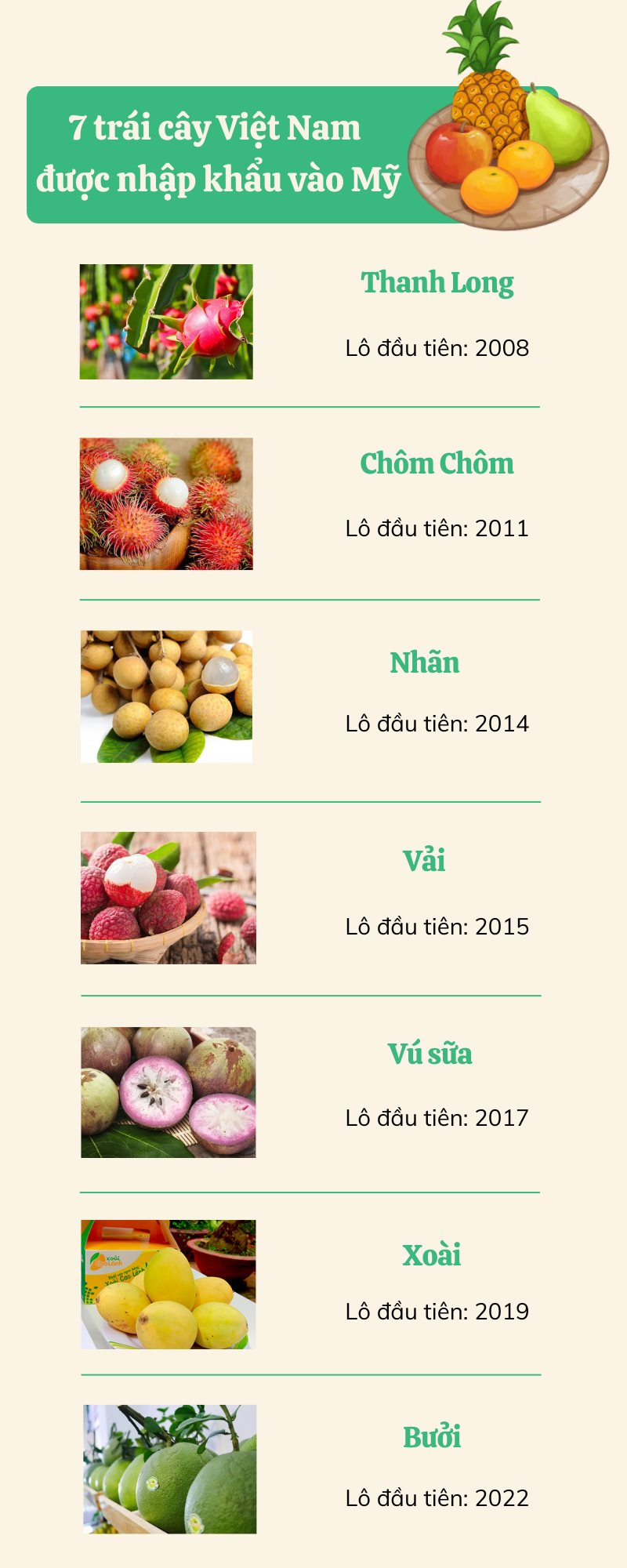 7 loại trái cây Việt xuất khẩu sang Mỹ là những loại nào? - Ảnh 1.