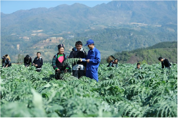 Hành trình 50 năm vượt khó, từ con số không chạm đỉnh vinh quang của Traphaco - Ảnh 2.