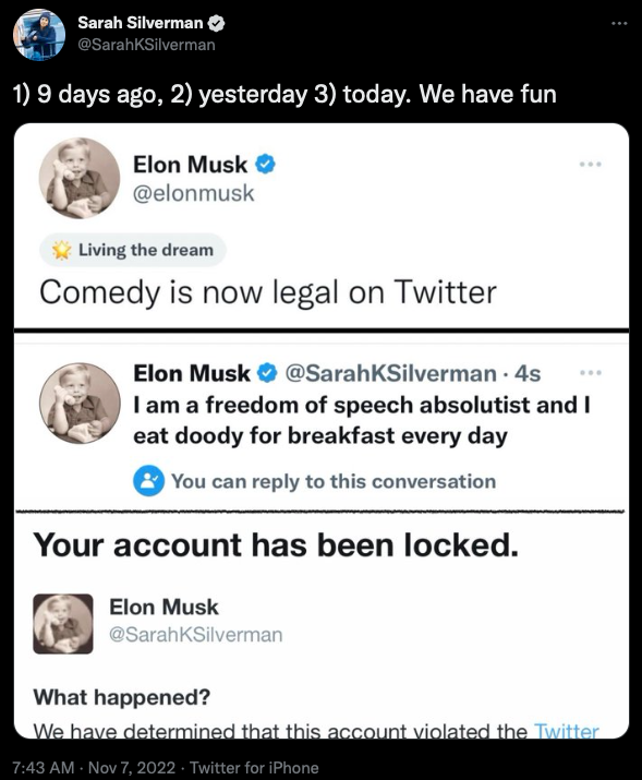 Elon Musk hàng giả mọc lên như nấm sau phi vụ Twitter bán tick xanh giá 8 USD - Ảnh 3.