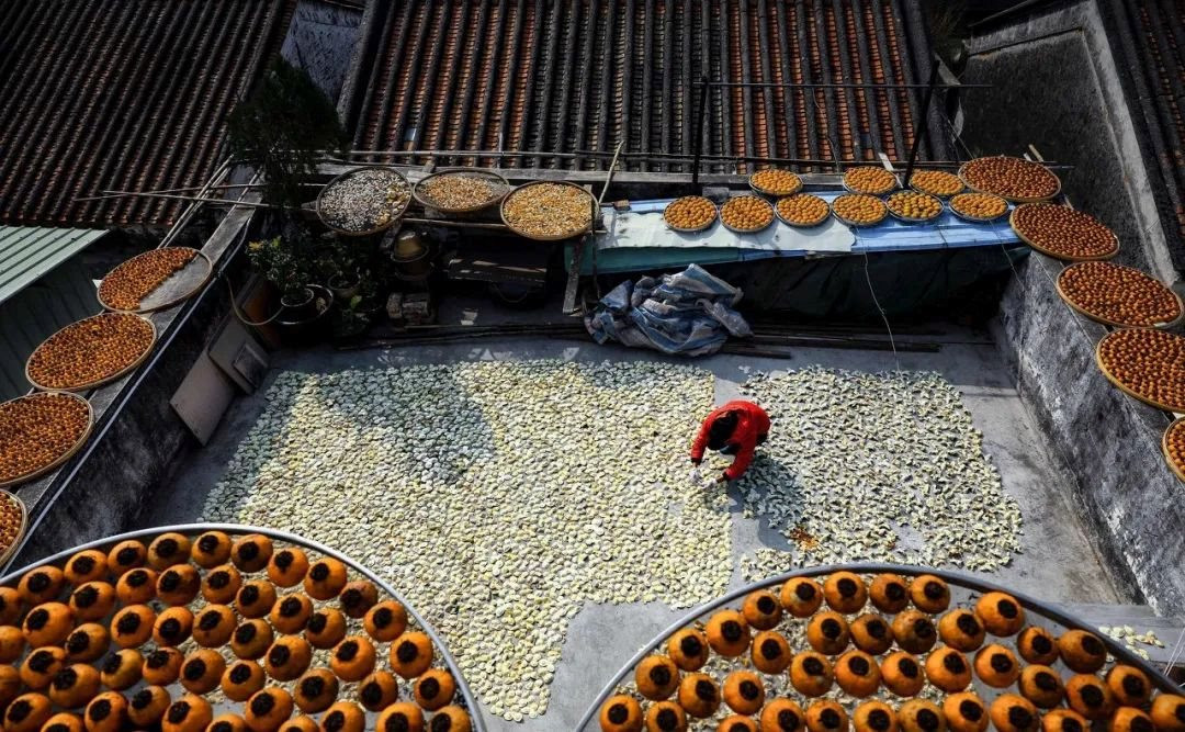 Thứ bỏ đi làm nên cả 1 ngành công nghiệp ở Trung Quốc: Vỏ quýt khô có thể dùng làm tài sản thế chấp vay vốn, làm giàu cho người dân và làm rạng danh cả một thành phố - Ảnh 2. Thứ bỏ đi làm nên cả 1 ngành công nghiệp ở Trung Quốc: Vỏ quýt khô có thể dùng làm tài sản thế chấp vay vốn, làm giàu cho người dân và làm rạng danh cả một thành phố - Ảnh 2.
