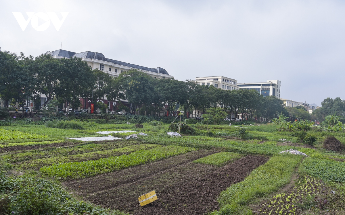 Cận cảnh dự án nghìn tỷ bỏ hoang được người dân tận dụng trồng rau và đổ rác thải - Ảnh 6.