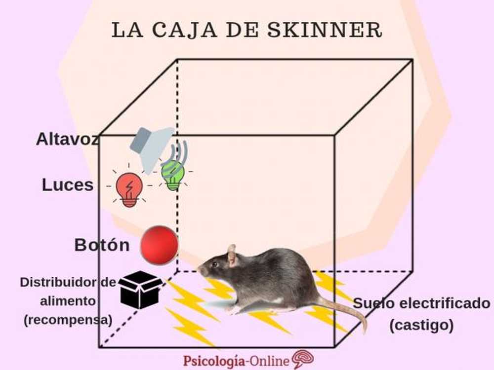 Ba thí nghiệm tâm lý cổ điển cho bạn biết bí mật về sự trưởng thành của trẻ em - Ảnh 3.