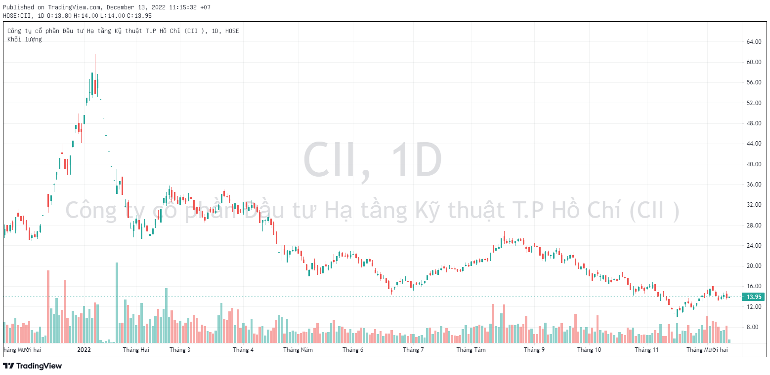 Vợ Tổng Giám đốc Đầu tư Hạ tầng Kỹ thuật TP.HCM (CII) liên tục gia tăng sở hữu cổ phiếu - Ảnh 2.